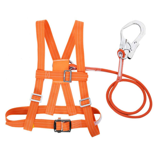 Safety Belts
